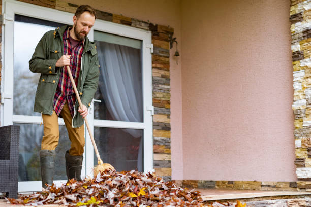 Best Junk Hauling Services  in Santa Fe Springs, CA